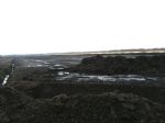 Peat Exploitation in Salford 